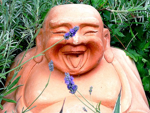 laughing buddha