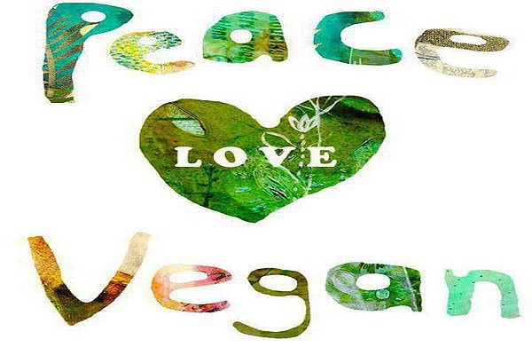 Becoming Strong & Healthy as a Vegan zen vegan