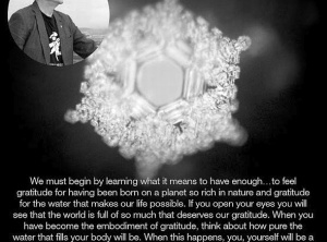 Arigato, Dr. Masaru Emoto