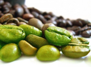 The Green Coffee Bean Weight Loss Fad - Fact or Fiction? You Decide