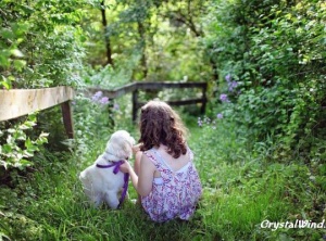 Is There An Afterlife For Pets & Other Animals?