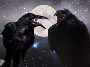 When a Crow Caws At You, What Does It Mean?