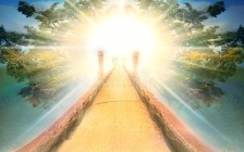 How to Appreciate Your Life - Goddess of Creation
