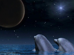 Pisces New Moon: Manifest Your Dreams on March 10th, 2024!