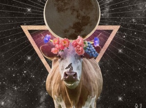 New Moon in Taurus, May 19th, 2023 - Physical Expansion