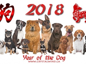2018 - Year Of The Dog