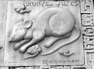 2020 - Year of the Rat