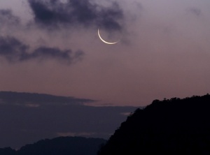 New Moon in Capricorn, January 13, 2021 - Dust