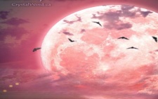 Full Moon Update 6-3-23