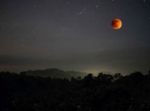 Lunar Eclipse In Taurus November 2021