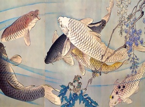 The New Moon In Pisces