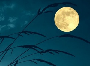 Full Moon Update 9-20-2021