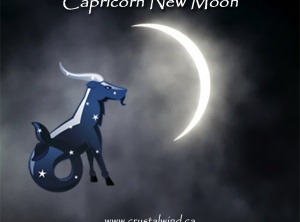 New Moon Update 1-3-2022