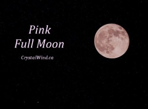Full Moon Update 4-5-23