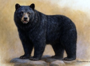 Birth Totem - Bear