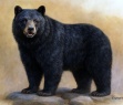 Birth Totem - Bear