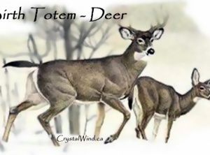 Birth Totem - Deer