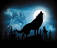 Birth Totem - Wolf