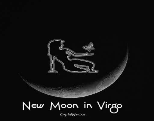 The August 2025 New Moon at 1 Virgo Pt. 1