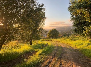 Archangel Michael: Experiencing the Emergence of Refuge