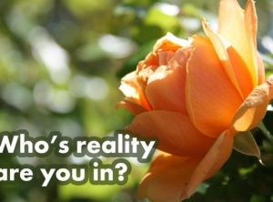 Who’s Reality Are You In? 7 Steps To Make Sure It’s Yours