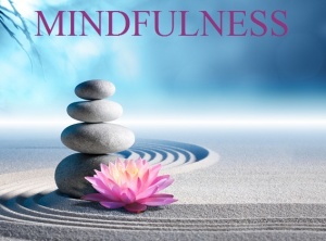 Practicing Mindfulness With The Guidance Of The Master Thich Nhat Hanh