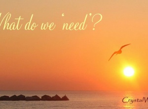 What do we &quot;need&quot;? 