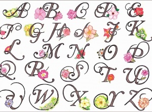 Alphabet Intuition Exercise