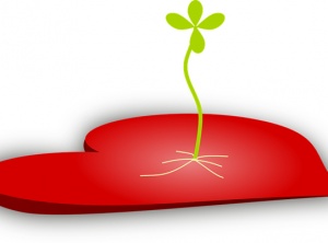 Acceptance vs Assertion