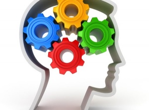 Real vs Imaginary in the Brain and Body