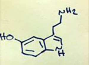 Did You Know You’re a Chemist?