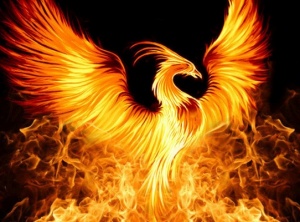 The Flight of the Phoenix, The Golden Bridge and the 11/11 Portal - Archangel Michael