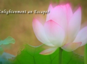 Is Enlightenment an Escape?