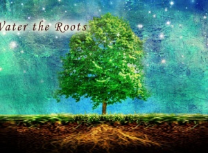 Water the Roots