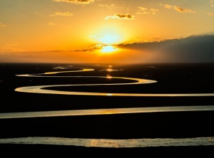 Bringing Forth the Light