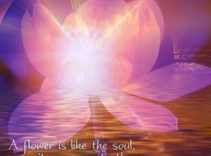 Soul First ~ Loving Thought of the Day
