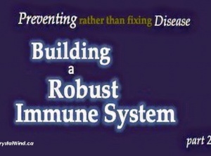 Building a Robust Immune System