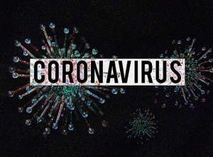 The Corona Virus: The Bigger Picture