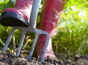 Tilling the Soil For A Great Harvest