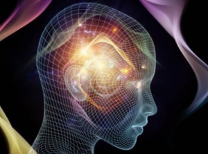 The Forces of Consciousness and how You Function through Them