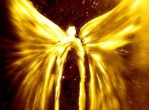 Planet Earth ~ The Playground of Sovereign Light Beings