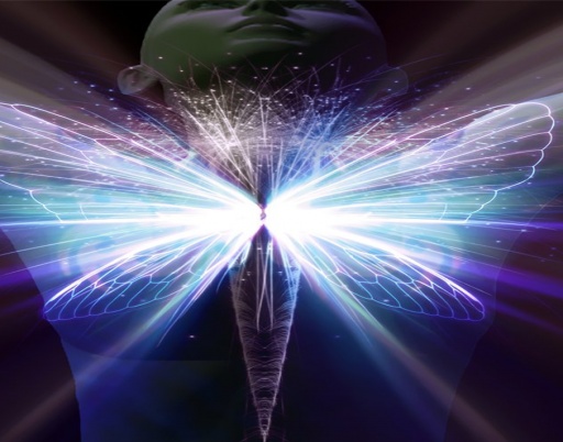 June Energy Update: Release, Align, Renew, Celebrate