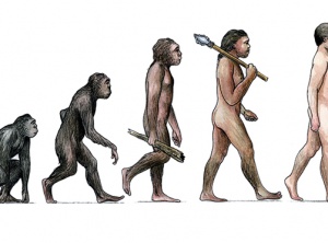 Evolution - Part 1 - Animals yes. Humans no.
