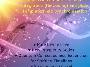 12/12 Portals Opened on 12/11 for Recoding/Integration Today