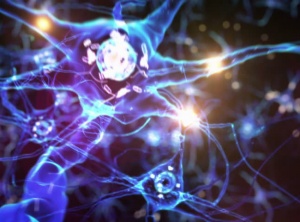 D = Dimension = Density = Physical Matter That Vibrates At A Level Of Consciousness