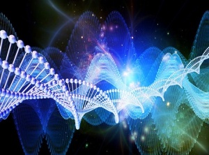 From Human Body to LightBody