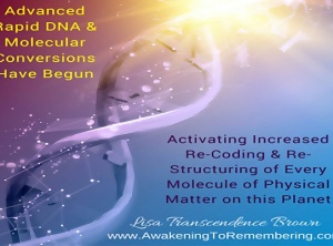 Current Cosmic Quantum Energy Report: Advanced Intelligent Life Forms