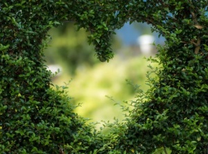 Can You Tell The Difference Between Your Old Earth Realities and Your NEW Earth Ones?