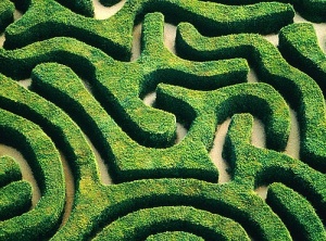144 Template & Grid - Avatar Consciousness Codes