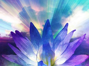 What Would You BE Willing to DO for a whole new REALity?